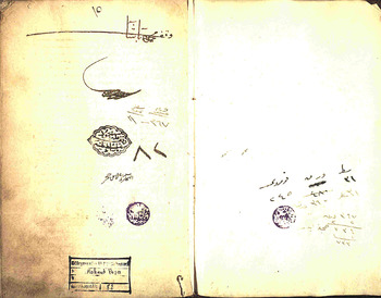 صورة مصغرة للعنصر